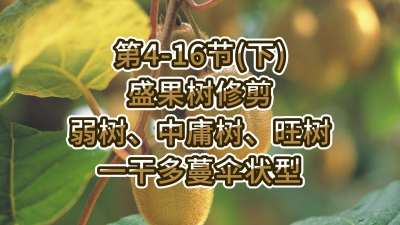4-16ڣ£-ʢ޼ӹһɶɡ״ͣ