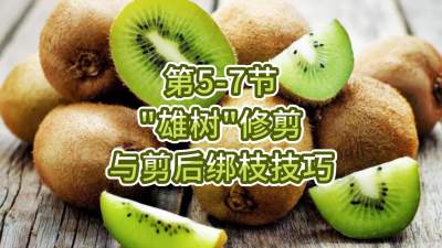 5-7-“”޼֦