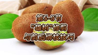 5-8-“”޼֦