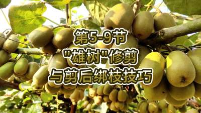 5-9-“”޼֦