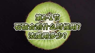2-1-ʯϼʲôʱŨü