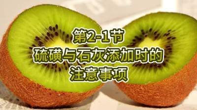 2-1-ʯʱע