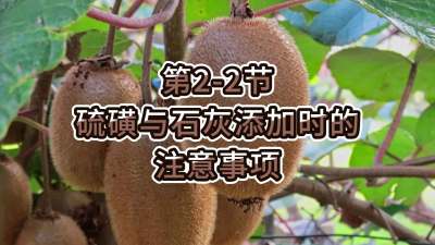 2-2-ʯʱע