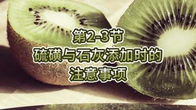 2-3-ʯʱע