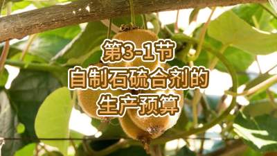 3-1-ʯϼԤ