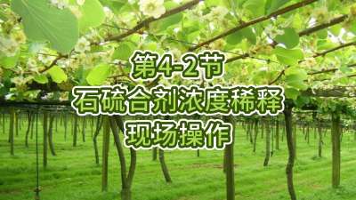 4-2-ʯϼŨϡֳ