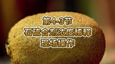 4-3-ʯϼŨϡֳ