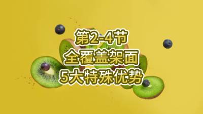 2-4-ȫּ5
