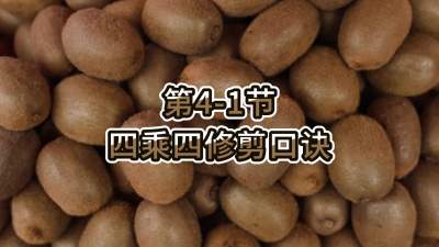 4-1-ĳ޼ھ