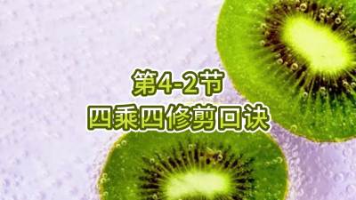 4-2-ĳ޼ھ