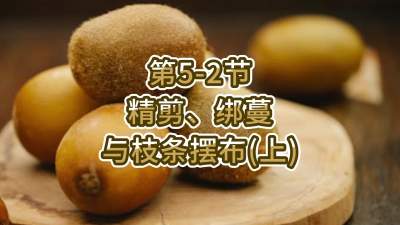 5-2-֦֧䣨ϣ