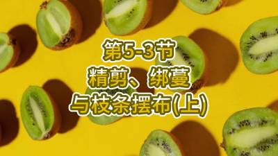 5-3-֦֧䣨ϣ