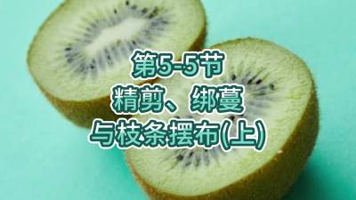 5-5-֦֧䣨ϣ