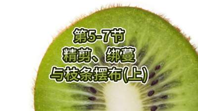 5-7-֦֧䣨ϣ