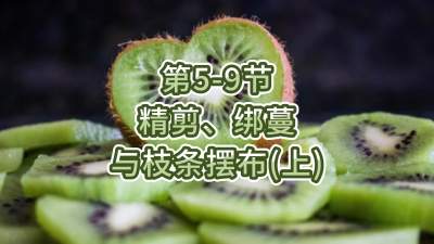 5-9-֦֧䣨ϣ