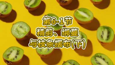 6-1-֦֧䣨£