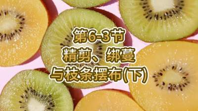 6-3-֦֧䣨£
