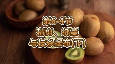 6-4-֦֧䣨£