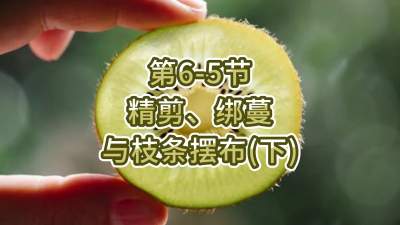 6-5-֦֧䣨£