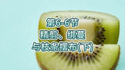 6-6-֦֧䣨£