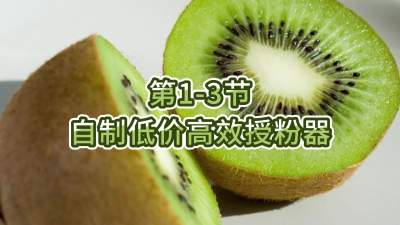 1-3-Ƶͼ۸Чڷ