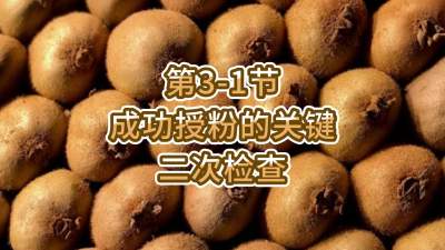 3-1-ֳڷ۵Ҫ-μ