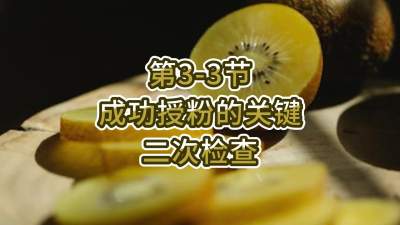 3-3-ֳڷ۵Ҫ-μ