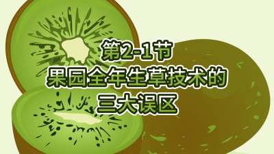 2-1-԰յ
