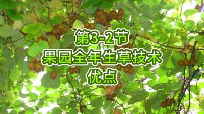 3-2-԰յŵ