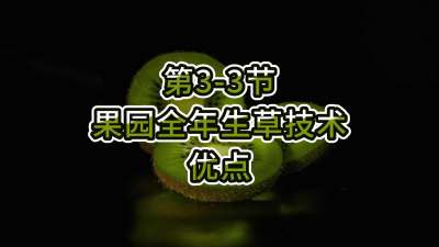 3-3-԰յŵ