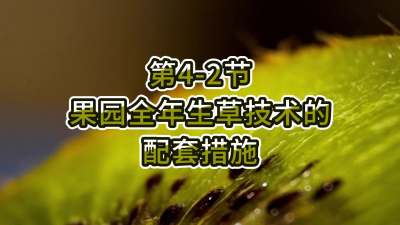 4-2-԰յײ