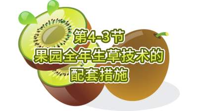 4-3-԰յײ