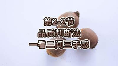 2-2-ƷжϷ-һָ