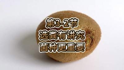 3-2-ѡпָҪ