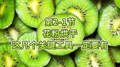2-1-ۺ⼸ҪһҪ