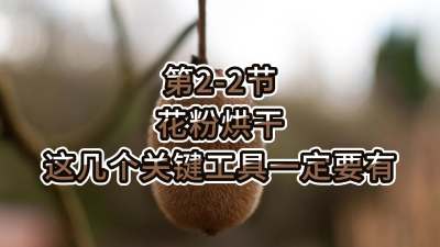2-2-ۺ⼸ҪһҪ