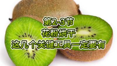2-3-ۺ⼸ҪһҪ