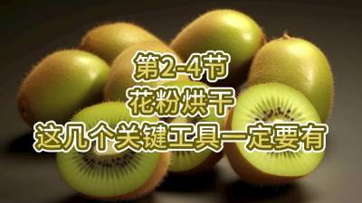 2-4-ۺ⼸ҪһҪ