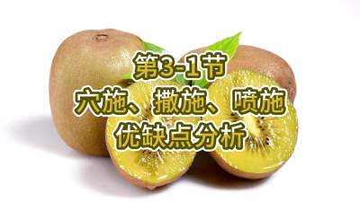 3-1-Ѩʩʩʩ