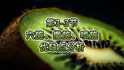 3-3-Ѩʩʩʩ