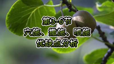 3-6-Ѩʩʩʩ