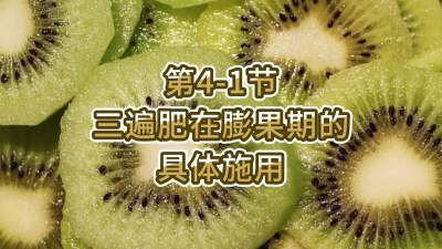 4-1-ڵϸʩ