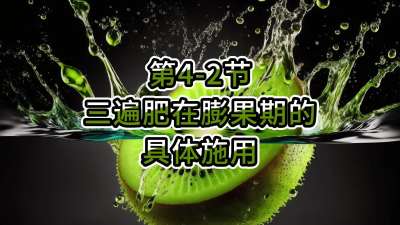 4-2-ڵϸʩ