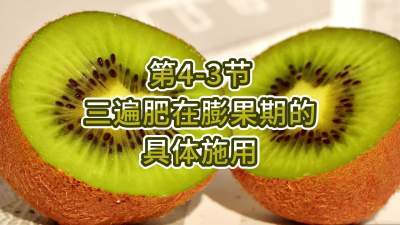 4-3-ڵϸʩ