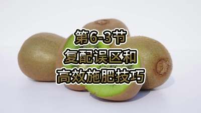 6-3-͸Чʩʼ