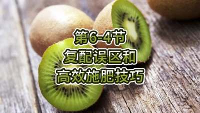6-4-͸Чʩʼ