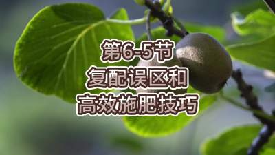 6-5-͸Чʩʼ