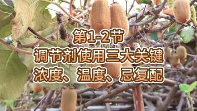 1-2-ʹź-Ũȡ¶ȡɸ