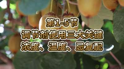 1-5-ʹź-Ũȡ¶ȡɸ