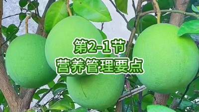2-1-ӪҪ